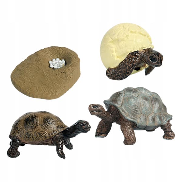 Turtle Life Cycle Model Goodie Bag Fillers Science Playset – Turtle