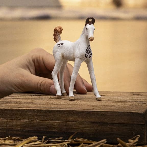 MARWARI FOAL [FIGURINE]