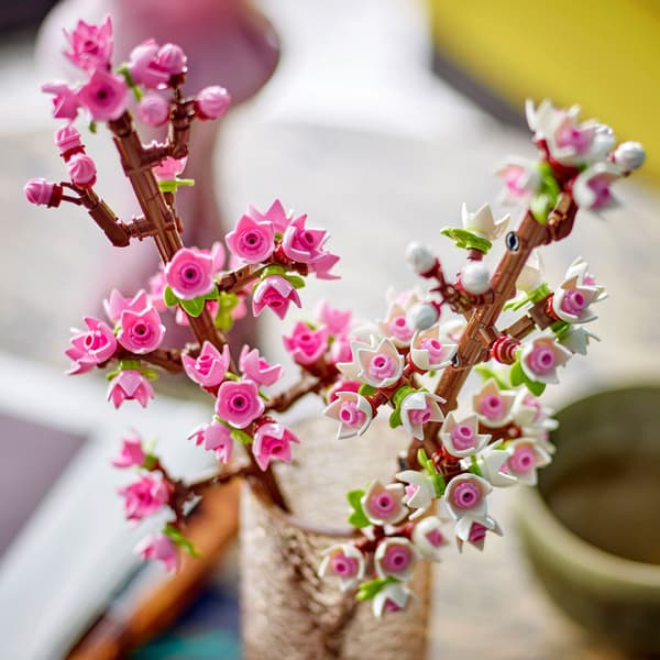 LEGO Botanicals 40725 Cherry Blossoms