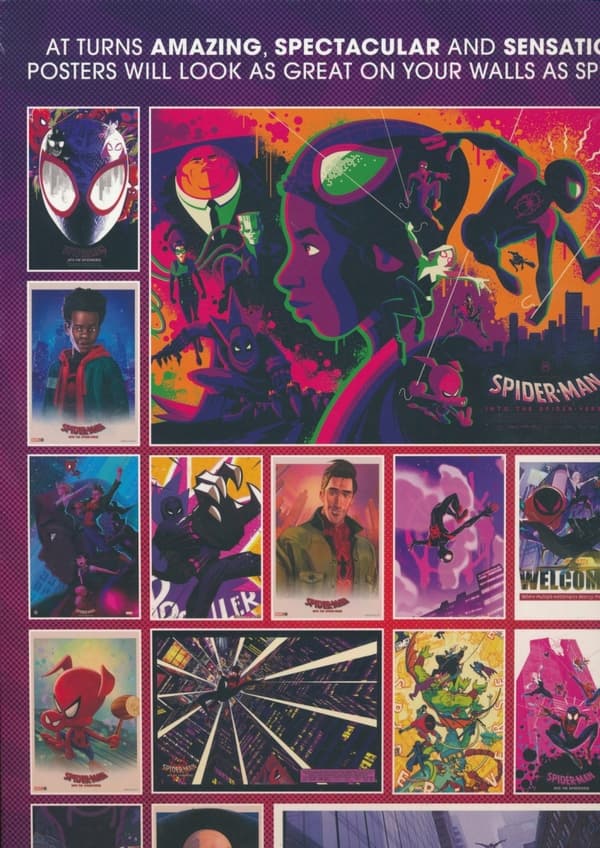 Spider-Man: Into the Spider-Verse Poster Book
