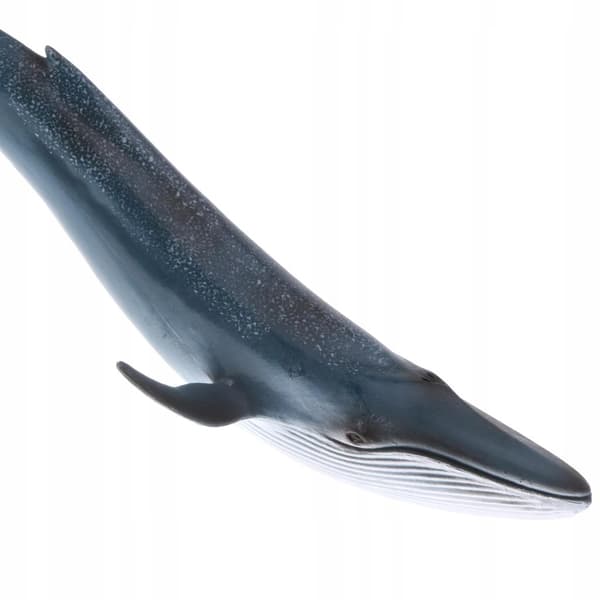 Realistic animal whale models Action figures Children