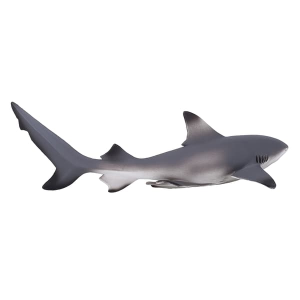 Mojo Blackfin Shark