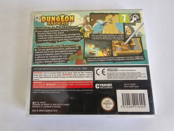 DUNGEON RAIDERS NINTENDO DS