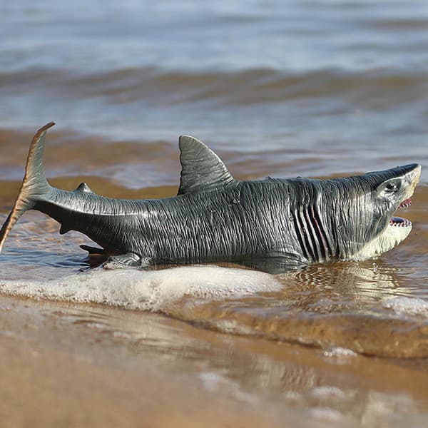 Megalodon Model: Educational Shark Figurines
