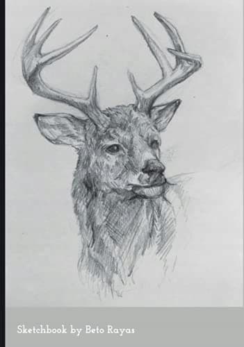Sketchbook: A great tool for designing beautiful compositions and practising sketching