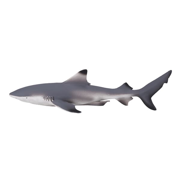 Mojo Blackfin Shark