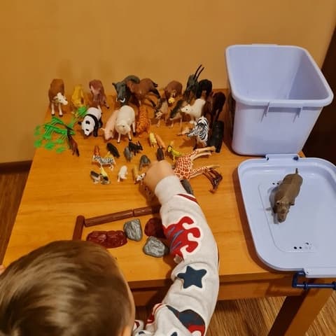 Animals Figurines – Large Set