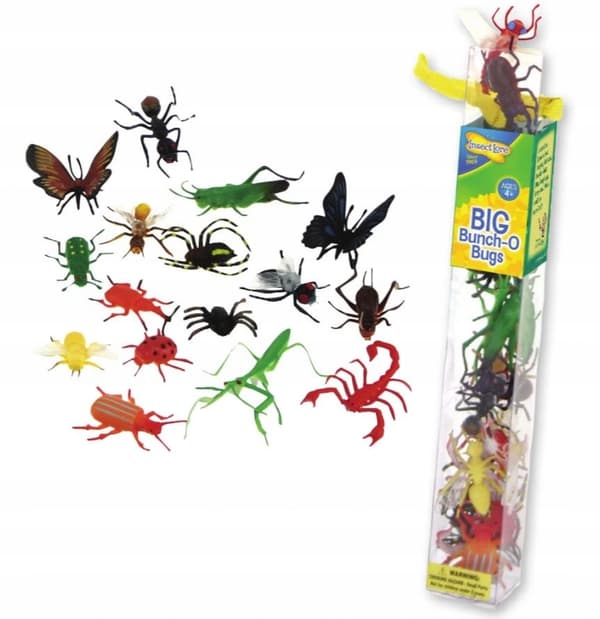 A large collection of insects