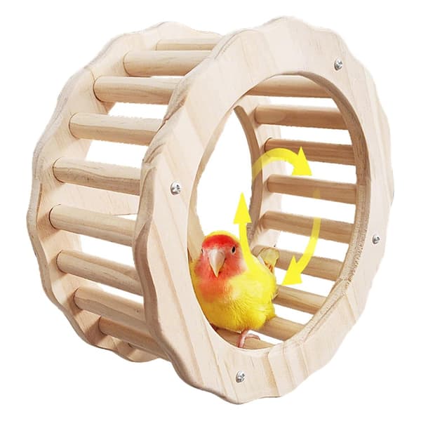 Interactive bird toy – with a perch and a wheel – designed to stimulate development