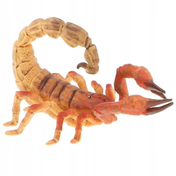 Simulation: Children’s Halloween Toy Gift Party Model