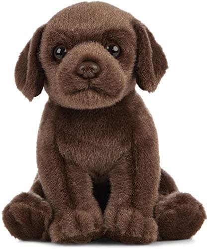 Living Nature Soft Toy Gift Bundle – Plush Chocolate Labrador Dog (20 cm) &