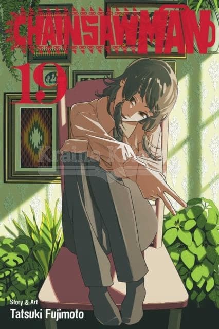 Chainsaw Man, Vol. 19 by Tatsuki Fujimoto