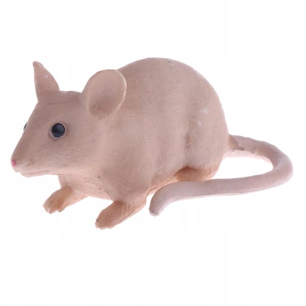 Realistic PVC animal model figurines, educational mouse action figurine