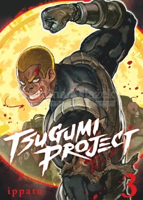 Tsugumi Project 3 Ippatu