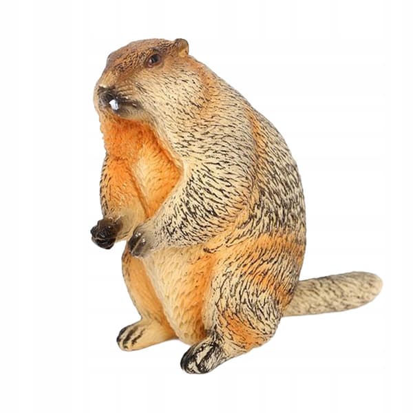 Animal model simulation: A realistic marmot toy for studying landscape style D