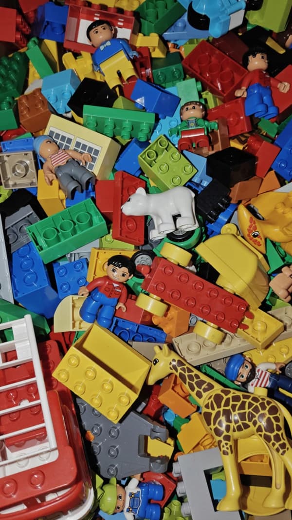 LEGO DUPLO BRICKS: 1 KG OF RANDOMLY SELECTED BRICKS + 2 MINIFIGURES