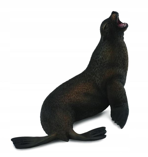 Sea lion L