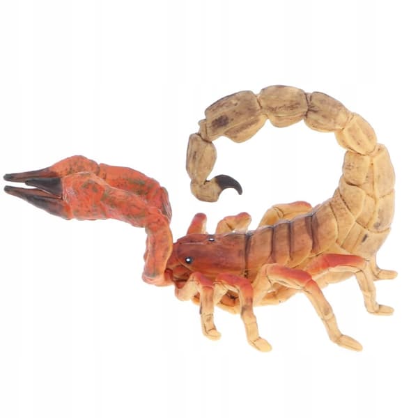 Simulation: Children’s Halloween Toy Gift Party Model