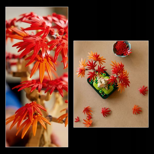 LEGO Botanicals Palm Maple Bonsai 10348