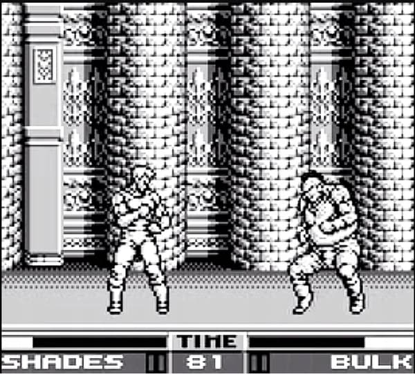 Raging Fighter – a game for the Nintendo Game Boy Classic (GBC).