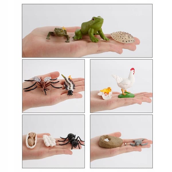 CHILDREN’S TOY ANIMAL FIGURES SIMULATION SET: The Growth Process of a Turtle
