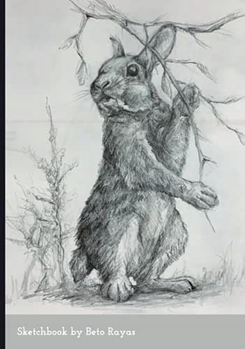 Sketchbook: A great tool for designing beautiful compositions and practising sketching