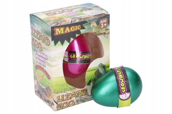 Hatching lizard egg, 6.5 cm, set of 12