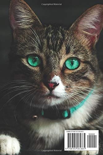 I love cats
