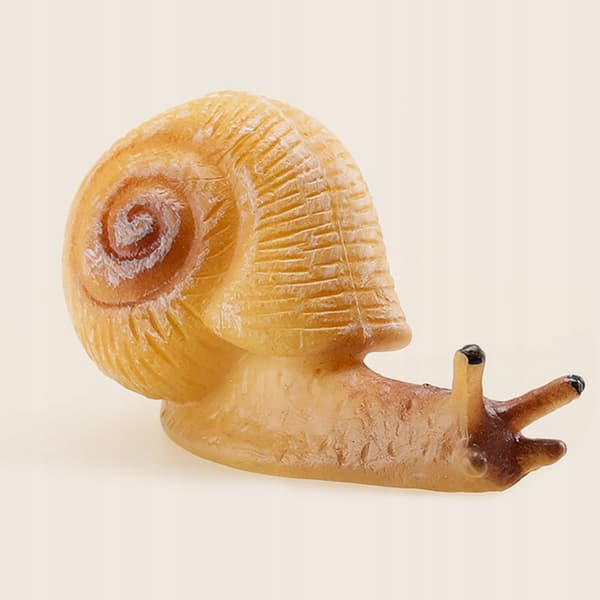 4-PIECE REALISTIC SNAIL MODEL – CAKE DECORATION AND EDUCATIONAL AID