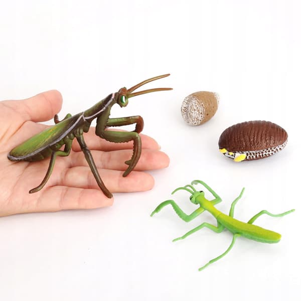 Animals Simulation Life cycle Life Action figures Figure
