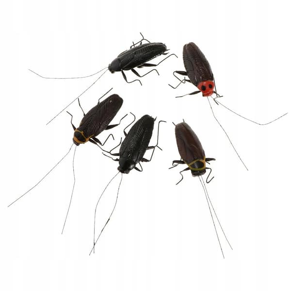 5-Piece Creative Best-Selling Artificial Cockroach Animal Model Simulation Set