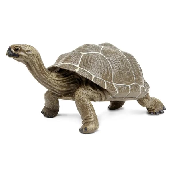 TURTLE - Tortoise - Safari Ltd. - 260729