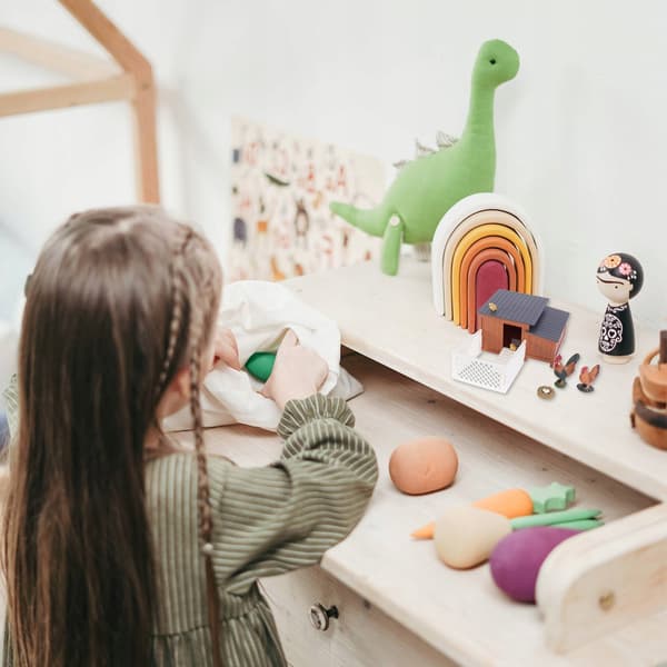 1ZEST CREATIVE PET HOUSE MODEL FOR PLAY AND LEARNING