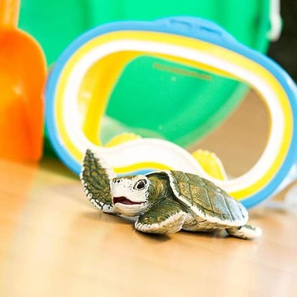 Kemp's Sea Turtle - Safari Ltd. - 267429