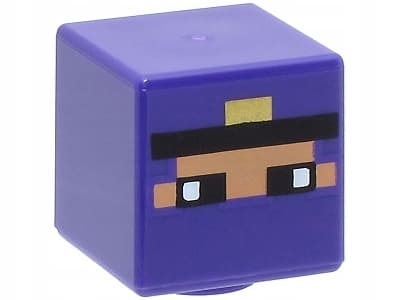 LEGO Minecraft Rogue min113 minifigure