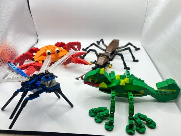 LEGO 4101 Creator Wild Collection