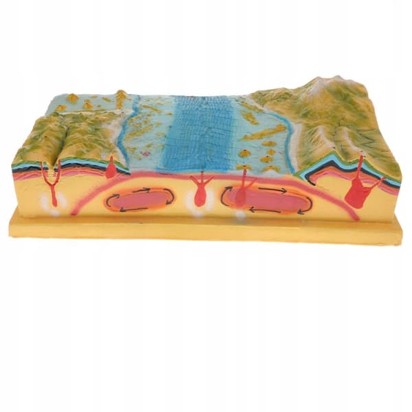 Scientific Terrain Plate Tectonics Model Kit | Vibrant colours for easy identification