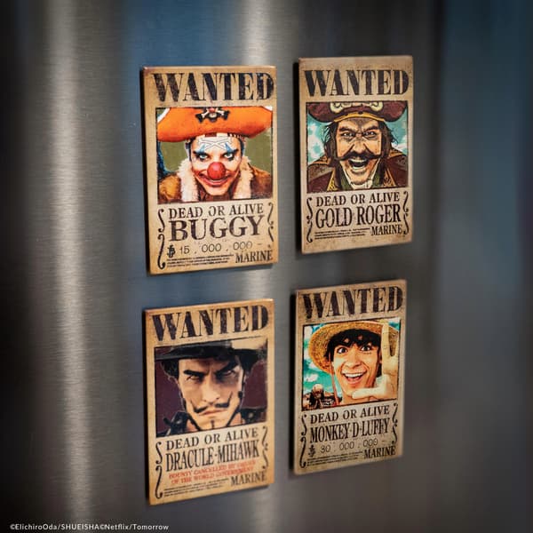 Set of 4 magnets, One Piece