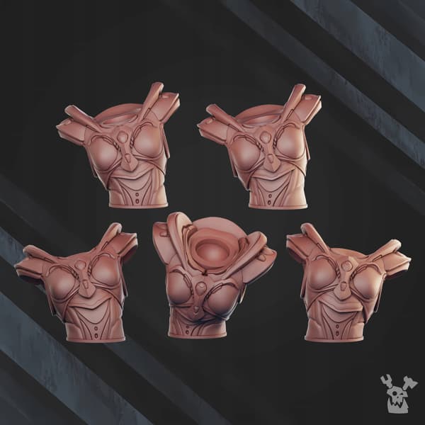 Comet Screamers Squad x5 DakkaDakkaStore