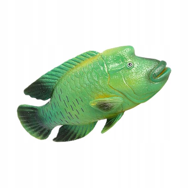 DURABLE PLASTIC MODEL OF A GREEN NAPOLEON FISH