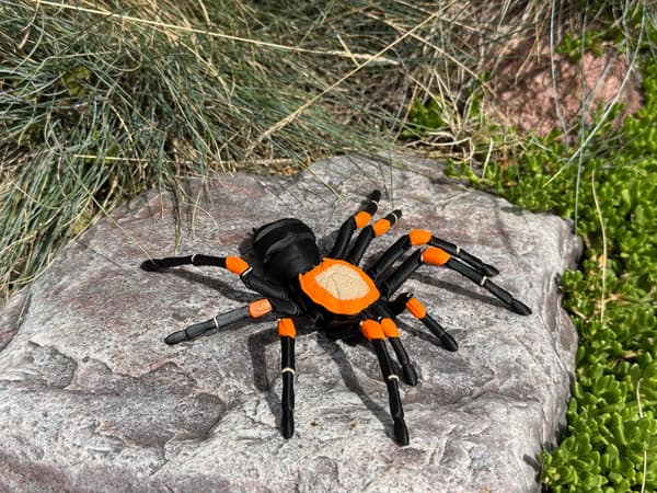 Tarantula 3D – a realistic, articulated spider, a unique figurine
