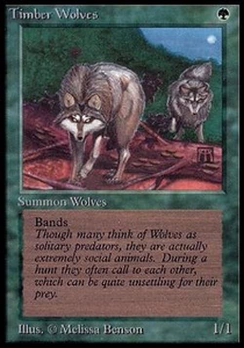Magic: The Gathering Timber Wolves