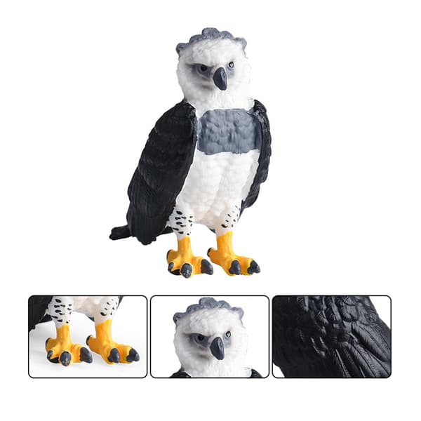 Animal bird model figures Science Educational toy Simulation in A-style