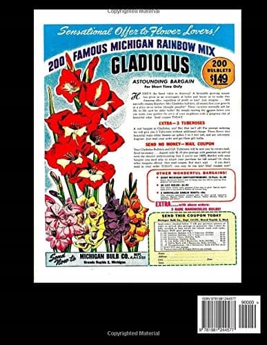 Big Shot Comics Collection Vol. 15: 5-Issue Collection - Big Shot Comics