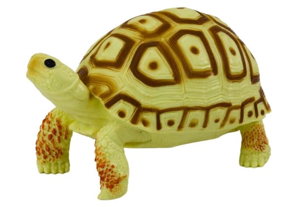 DECORATIVE COLLECTORS’ ITEM: REALISTIC TURTLE FIGURINE