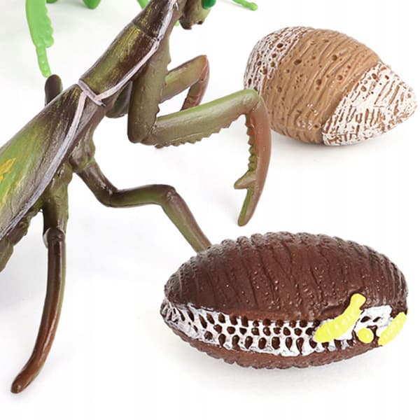 Animals Simulation Life cycle Life Action figures Figure