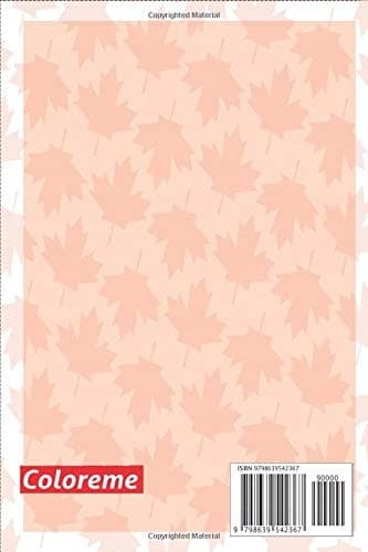 Canada: CANADA Toronto (Notebook, Diary) (Small-format journals)