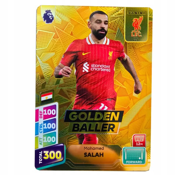 LARGE PREMIER LEAGUE PLUS 2025 CAN – LIMITED ULTIMATE CARDS – 7 PACKETS