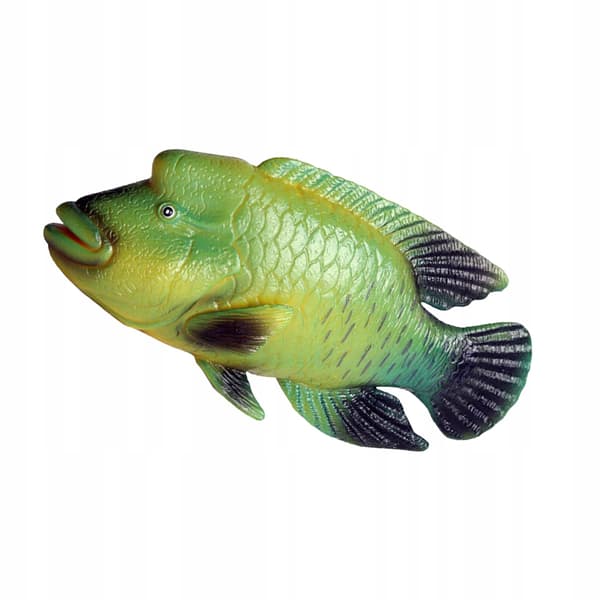 DURABLE PLASTIC MODEL OF A GREEN NAPOLEON FISH