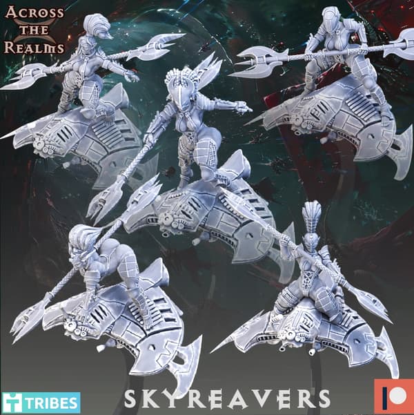 Skyreavers Across the Realms